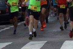 MG_2431-1-683x1024
